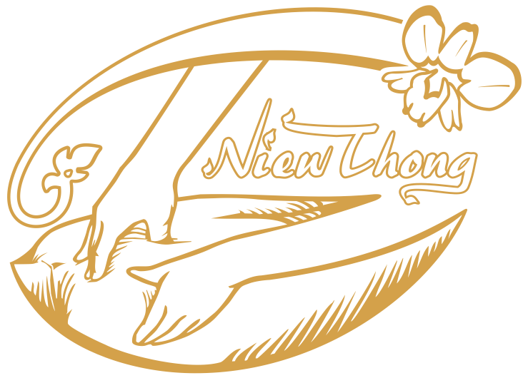 Niewthong
